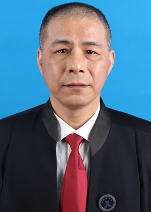 Lawyer Zhang Wen