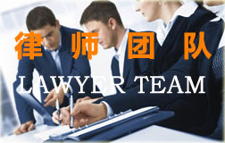 professional lawyers team